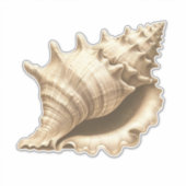 Kust/strand/nautische schelp sticker (Voorkant)