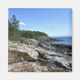 Kust van Bar Island in Acadia National Park Magneet