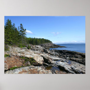 Kust van Bar Island in Acadia National Park Poster