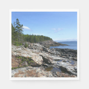 Kust van Bar Island in Acadia National Park Servet