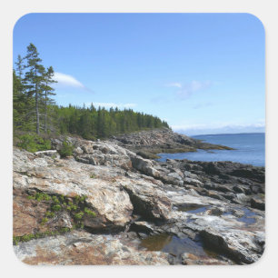 Kust van Bar Island in Acadia National Park Vierkante Sticker