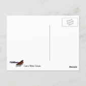 Kust van British Columbia in Schilderachtig Canada Briefkaart (Achterkant)