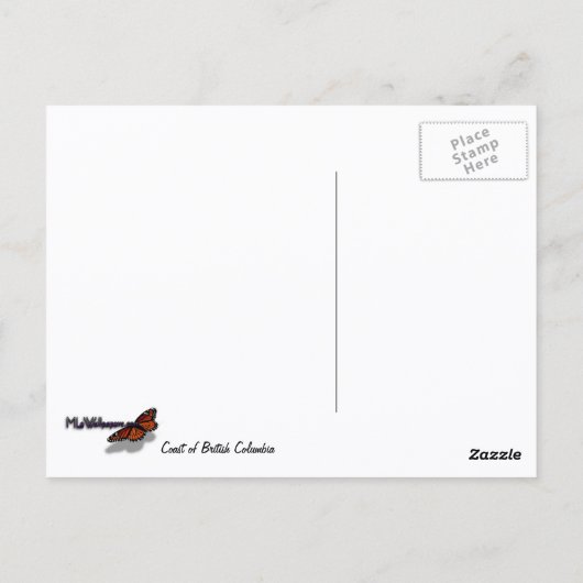 Kust van British Columbia in Schilderachtig Canada Briefkaart (Achterkant)