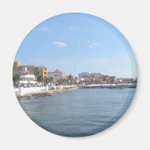 Kust van Cozumel Mexico Magneet