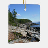 kust van het eiland Bar in het nationaal park Acad Keramisch Ornament (Rechts)