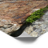 kust van het eiland Bar in het nationaal park Acad Poster (Hoek)