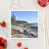 kust van het eiland Bar in het nationaal park Acad Servet (Insitu)