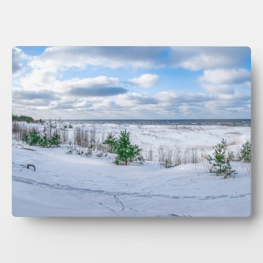 Kust van het Oostzeegebied met sneeuw in de winter Fotoplaat (voorkant)