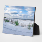 Kust van het Oostzeegebied met sneeuw in de winter Fotoplaat (Zijkant)