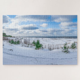 Kust van het Oostzeegebied met sneeuw in de winter Legpuzzel