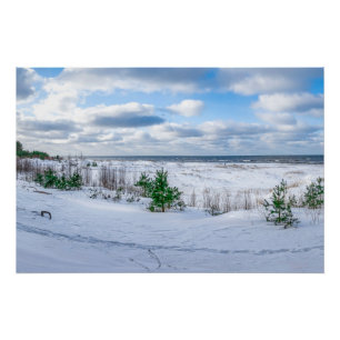 Kust van het Oostzeegebied met sneeuw in de winter Perfect Poster