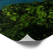 Kust van Saint Lucia Caribbean Vacation Foto Poster (Hoek)