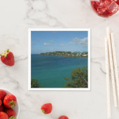 Kust van Saint Lucia Caribbean Vacation Foto Servetten (Insitu)