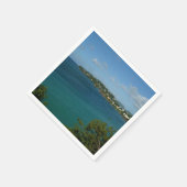 Kust van Saint Lucia Caribbean Vacation Foto Servetten (Hoek)