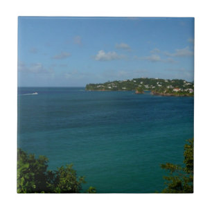Kust van Saint Lucia Caribbean Vacation Foto Tegeltje