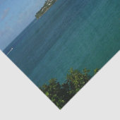 Kust van Saint Lucia Caribbean Vacation Foto Tissuepapier (Detail)