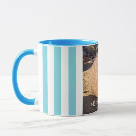 Kust Zeeschelp Foto Eet Slaap Strand Script Vet Mok (Links)