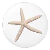 Kust Zeester Kastknop Keramische Knop (Voorkant)