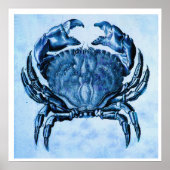 Kustafdruk —  blauwe krab poster (Voorkant)