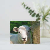 KUSTBEELDING BRIEFKAART (Staand voorkant)