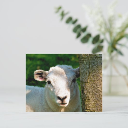 KUSTBEELDING BRIEFKAART (Staand voorkant)