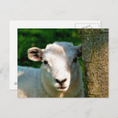 KUSTBEELDING BRIEFKAART (Voorkant / Achterkant)