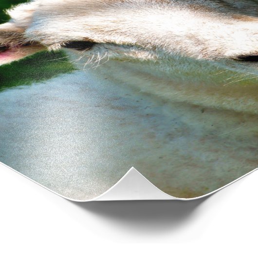 KUSTBEELDING FOTO AFDRUK (Hoek)