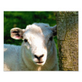 KUSTBEELDING FOTO AFDRUK (Voorkant)