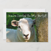 KUSTBEELDING KAART (Voorkant)