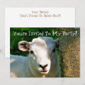 KUSTBEELDING KAART (Voorkant / Achterkant)