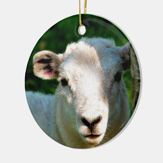 KUSTBEELDING KERAMISCH ORNAMENT (Links)