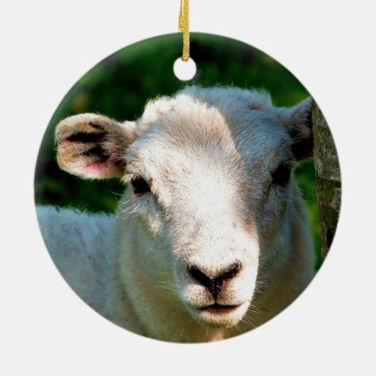 KUSTBEELDING KERAMISCH ORNAMENT (Achterkant)