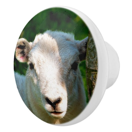 KUSTBEELDING KERAMISCHE KNOP (Rechts)