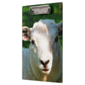 KUSTBEELDING KLEMBORD (Links)