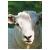 KUSTBEELDING KLEMBORD (Achterkant)