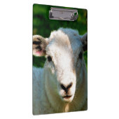 KUSTBEELDING KLEMBORD (Rechts)