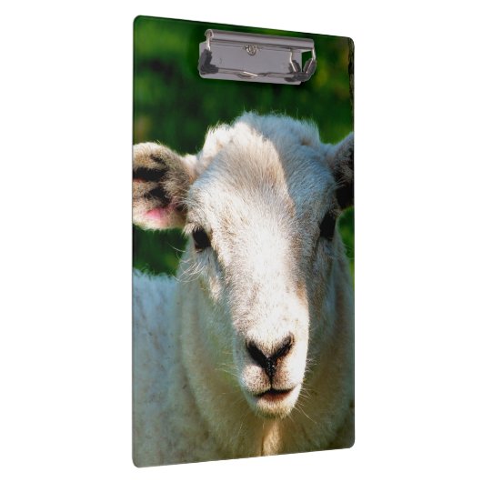 KUSTBEELDING KLEMBORD (Rechts)