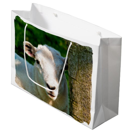 KUSTBEELDING LARGE CADEAUTASJE (Voorkant Gekanteld)