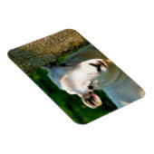 KUSTBEELDING MAGNEET (Rechterzijde)