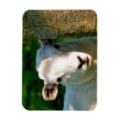 KUSTBEELDING MAGNEET (Verticaal)