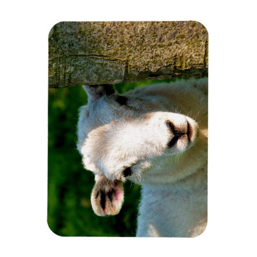 KUSTBEELDING MAGNEET (Verticaal)