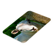 KUSTBEELDING MAGNEET (Linkerzijde)