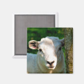 KUSTBEELDING MAGNEET (Voorkant / Achterkant)