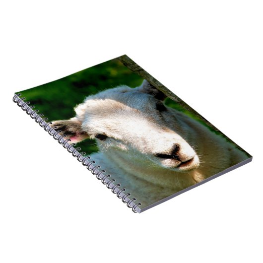 KUSTBEELDING NOTITIEBOEK (Rechterzijde)