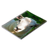 KUSTBEELDING NOTITIEBOEK (Linkerzijde)