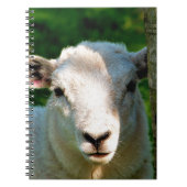 KUSTBEELDING NOTITIEBOEK (Voorkant)