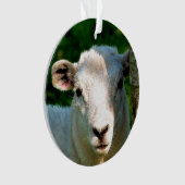 KUSTBEELDING ORNAMENT (voorkant)