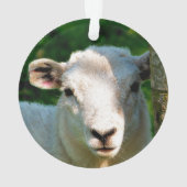 KUSTBEELDING ORNAMENT (achterkant)