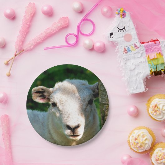 KUSTBEELDING PAPIEREN BORDJE (Feest)