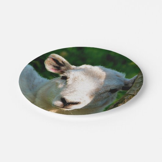 KUSTBEELDING PAPIEREN BORDJE (Gekanteld)